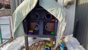 На Житомирщині волонтери відкрили 20 "Пунктів незламності" для котів