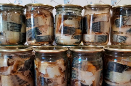 Ботулізм на Житомирщині: два випадки від домашних рибних консервів