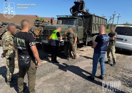 На Житомирщині завершено розслідування незаконного збуту деревини на 1,4 млн грн