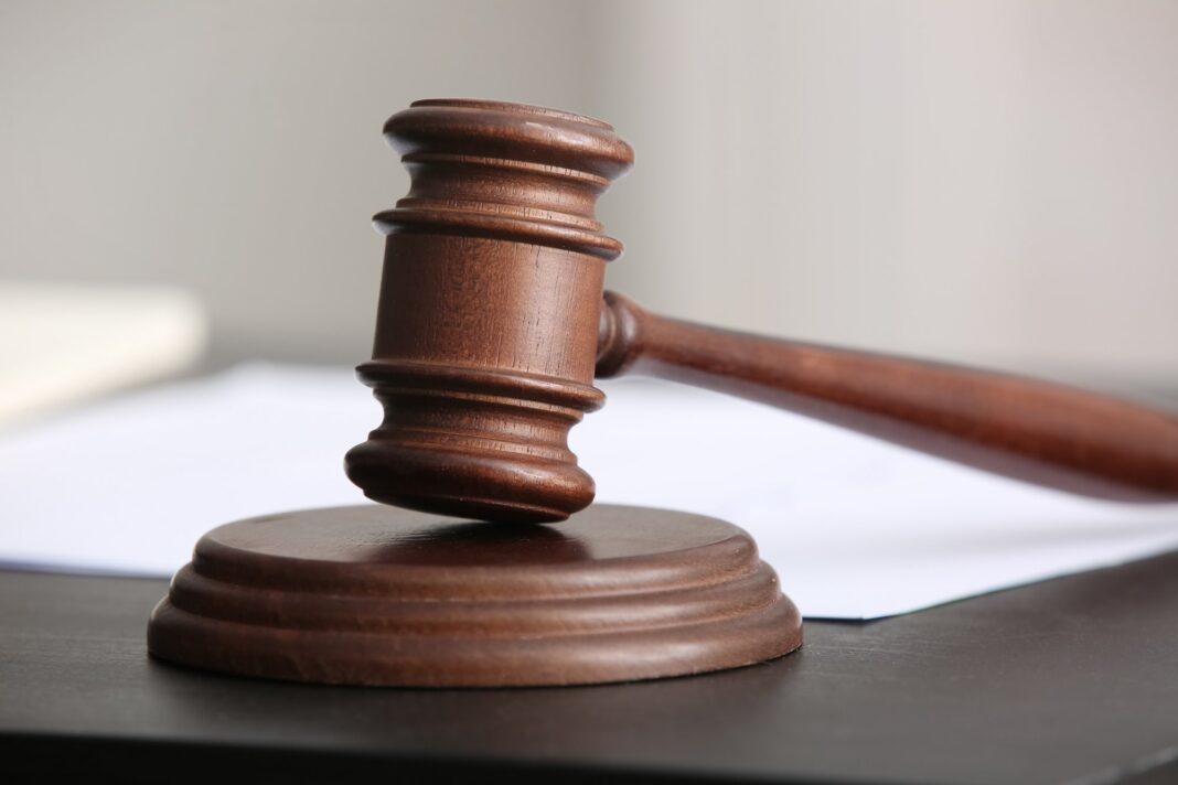 Суд стягнув 19 400 грн за знищення 20 сосен на Житомирщині