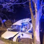 Смертельна ДТП на Житомирщині: загинула 12-річна дитина, водія підозрюють у нетверезому керуванні
