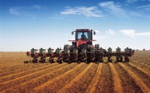 Житомирщина завершує посів ярих культур: 335 тис. га під урожай 2026